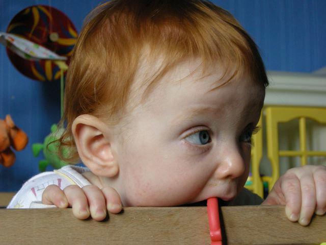 DSCN3267_2.jpg